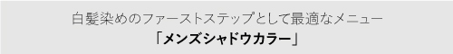 ホーユーヒー