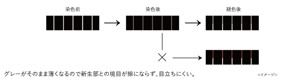 ホーユーヒー褪色イメージ