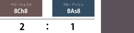 暖色×寒色がつくり出す大人なビター感