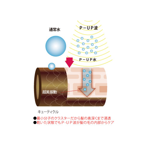 P-UP テラヘルツドライヤー 2G