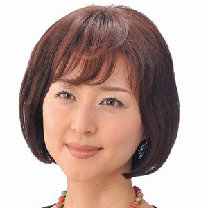 ミニヘアピース TSS−10 ♯3A 栗色