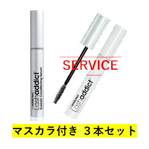 �y3�{�Z�b�g�z���b�V���A�f�B�N�g �A�C���b�V���Z���� + �}�X�J��