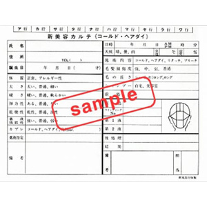 新美容カルテ (100枚入)
