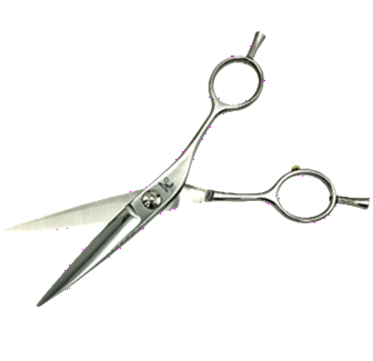 �L�� �o�g�� 5.5