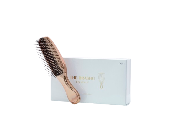 THE BRASHU�i�U�E�u���V���j