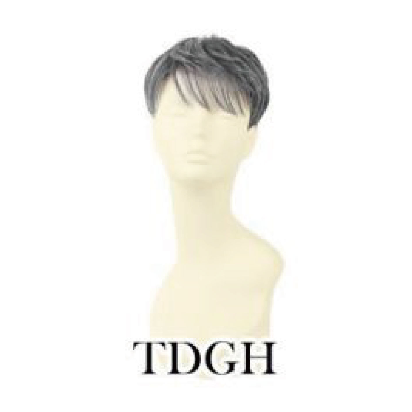 【廃盤予定】プリシラ 男性用5分ウィッグ ボリュームショート TDGH