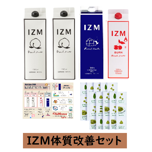 IZM ̎P100Zbg