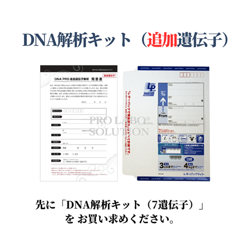 Z DNA̓Lbg(ǉ`q)