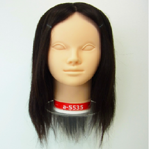 [J A-5535 EBbO