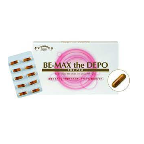 BE-MAX the DEPO