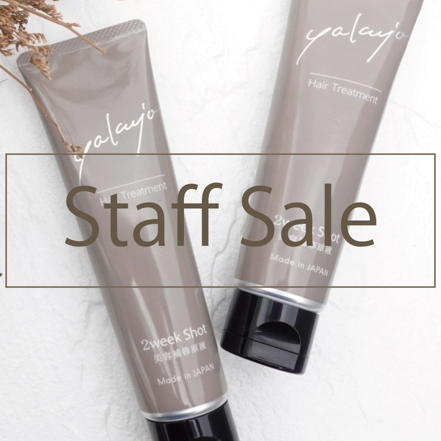 �X�^�b�t�Z�[�� ���N�W�� 2week shot 80g