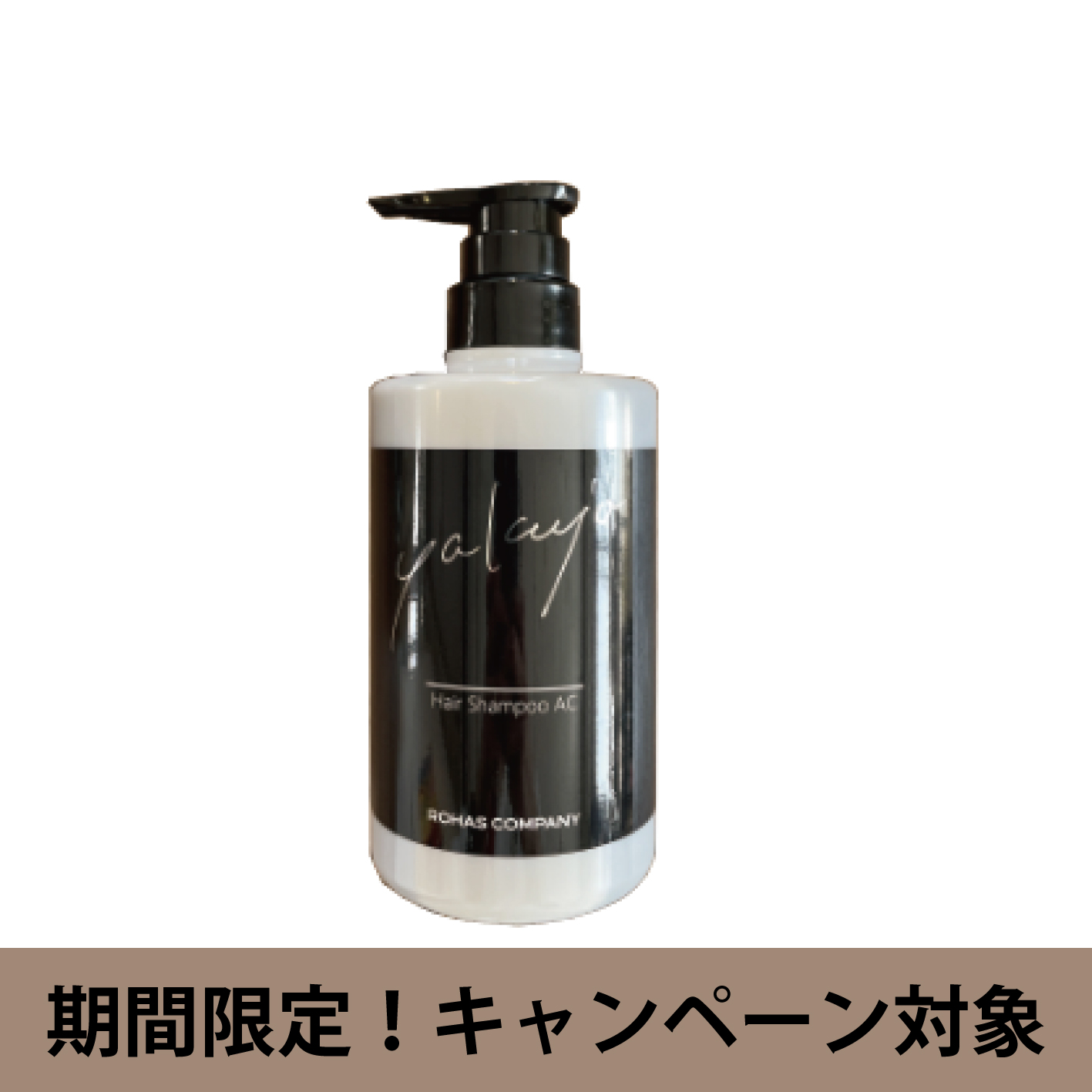 NWGCWOVv[ 500ml |vyԌz