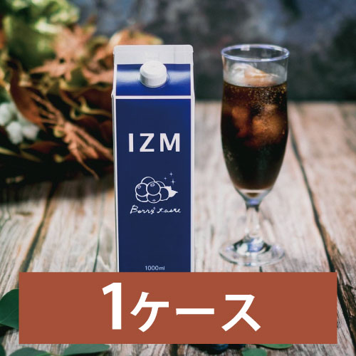 IZM x[x[eCXg 1P[X