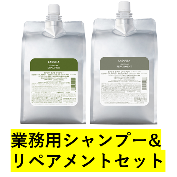 ラデュラ ダメージケア 業務用シャンプー&リペアメント セット