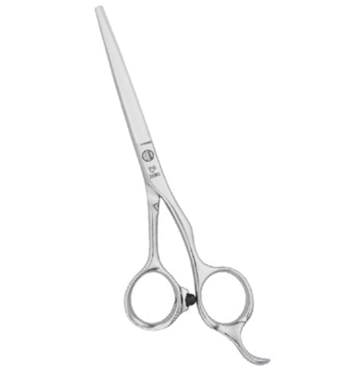 �W���[�E�F�� �X���� SL-55