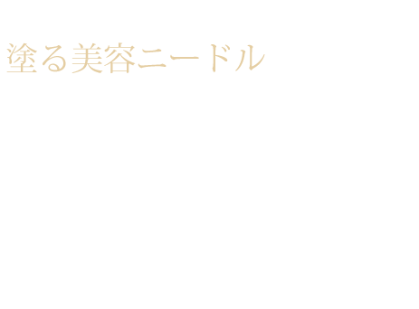 hej[h 邨ƎhŎ̃nɁBj[hCX`CU[ for Salon