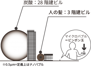 比較