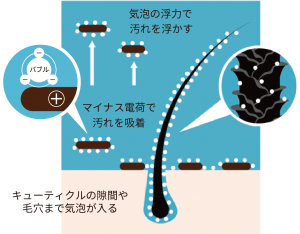 毛穴