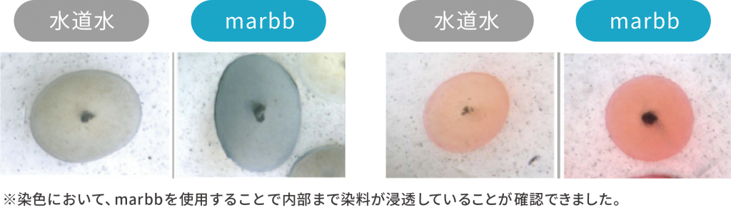 断面