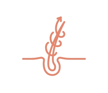 یƋ