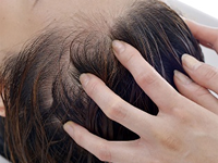 �w�A�G�X�e