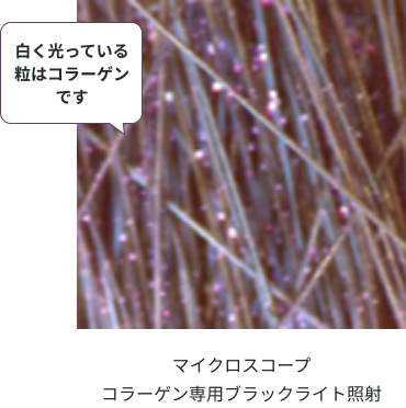 }CNXR[vR[QpubNCgƎ