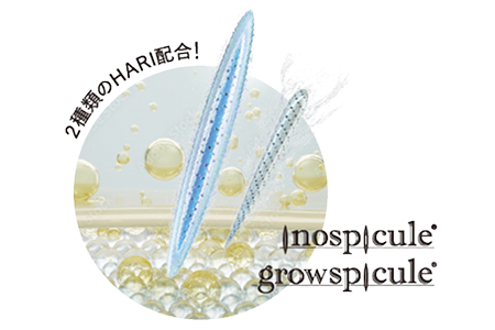 �C�m�X�s�L���[���E�O���E�X�s�L���[��