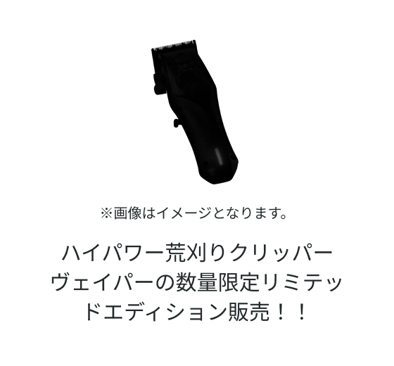 nCp[rNbp[ FCp[̐ʌ胊~ebhGfBV̔II