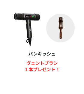 �o���L�b�V�� ���F���g�u���V�P�{�v���[���g�I