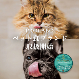 �L���b�g�U�C��/�h�b�O�U�C��