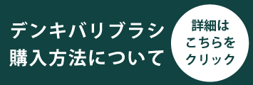 デンキバリブラシキャンペーン